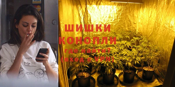 СК Медвежьегорск