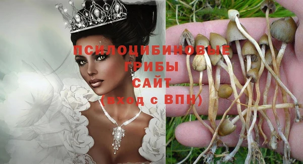 СК Медвежьегорск